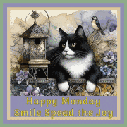 Morning Goodmorning Meme