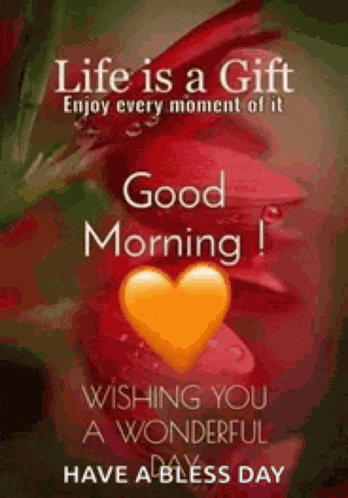 Morning Goodmorning Meme