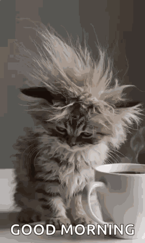 Morning Morning Coffee GIF