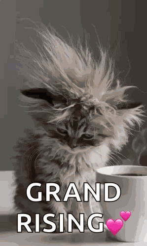 Morning Morning Coffee GIF