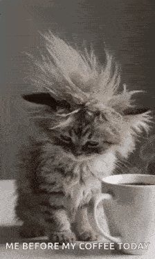 Morning Morning Coffee GIF