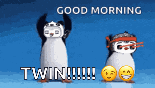 Morning Penguin GIF