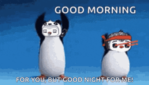 Morning Penguin GIF