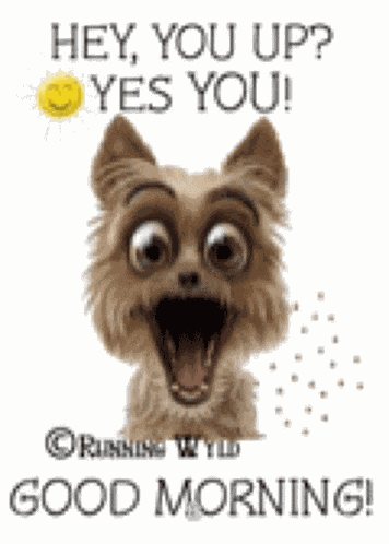 Morning Quotes Morning Quotes For Love Meme