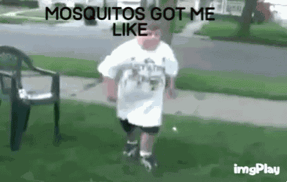 Mosquito GIF