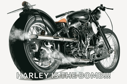 Motorcycle Harley Davidson GIF