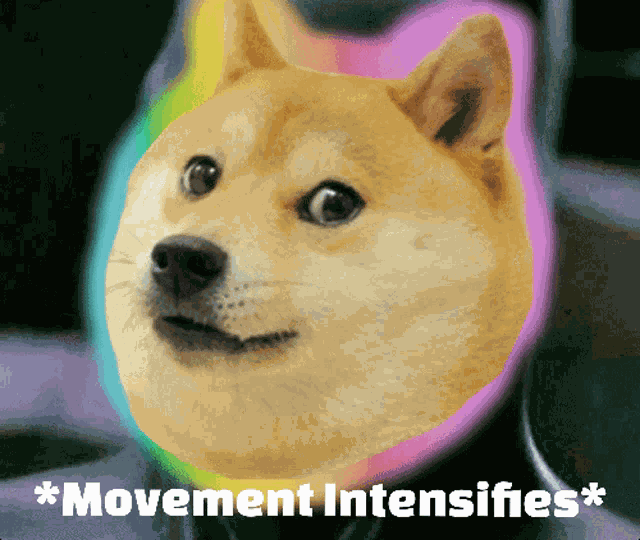 Movement Intensifies Dogefam GIF