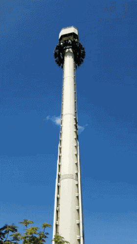 Movie Park High Fall GIF