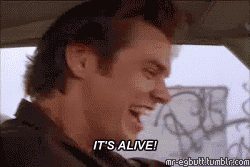 Movies Ace Ventura GIF