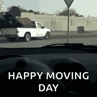 Moving Day Darwinism GIF