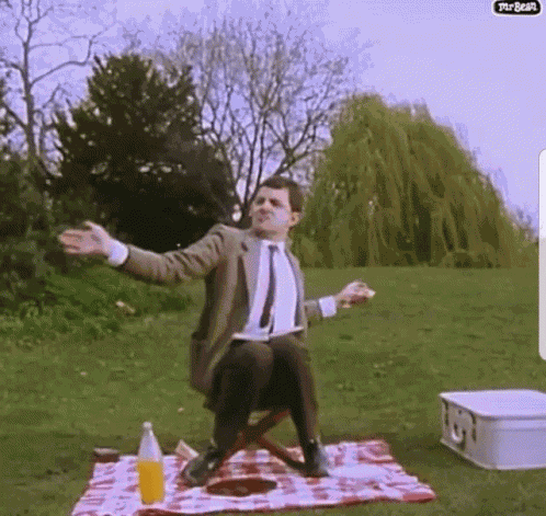 Mr Bean Wasp GIF