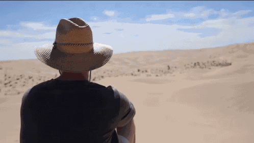 Mr Beast Desert GIF
