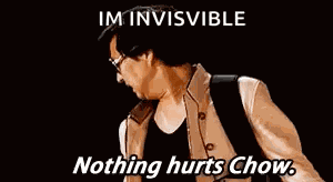 Mr Chow Nothing Hurts Chow GIF