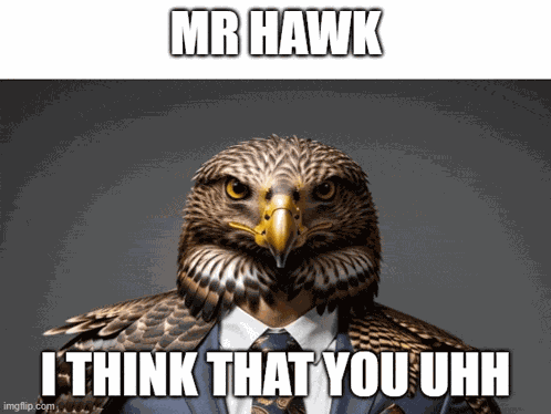 Mr Hawk Hawk Tuah Meme