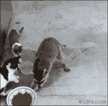 Munchie Gmmm GIF