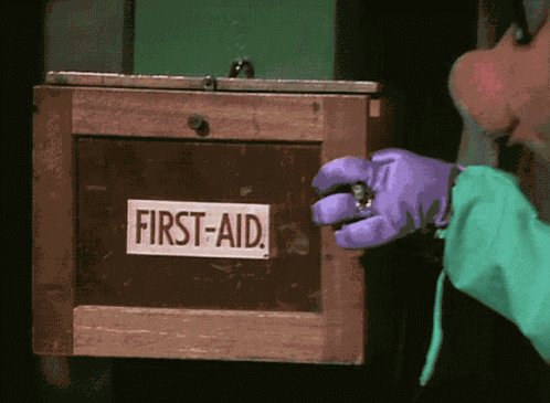 Muppets Muppet Show GIF