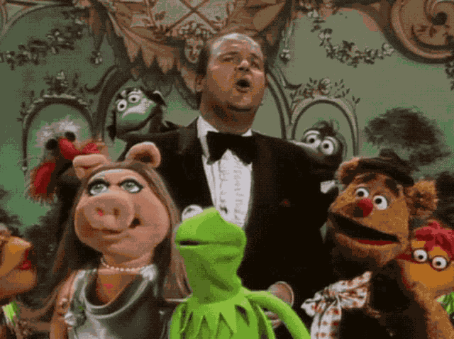 Muppets Muppet Show GIF