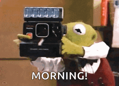 Muppetwiki Muppet Wiki GIF