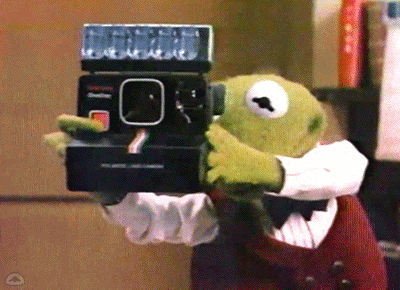 Muppetwiki Muppet Wiki GIF