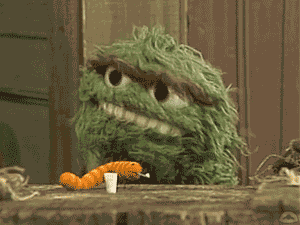 Muppetwiki Muppet Wiki GIF