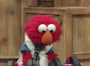 Muppetwiki Muppet Wiki GIF