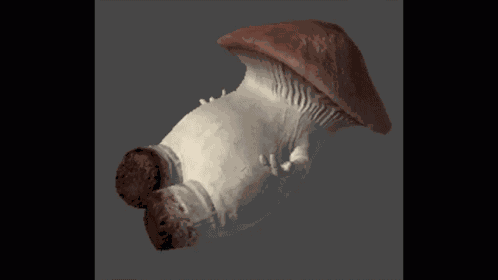 Mushroom GIF