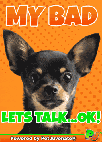 My Bad Lets Talk Funny Dog Pup Pj Chews Love A Poofin Floofer Fur Baby Dog My Baby Talk Dog Mom GIF