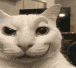 My Honest Reaction My Honest Reaction Meme Meme