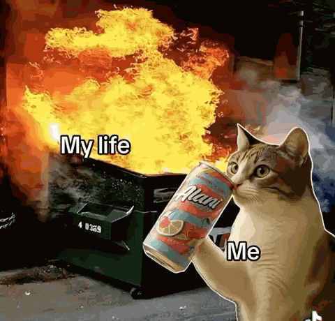 My Life Dumpster Fire - Aurora Alani GIF