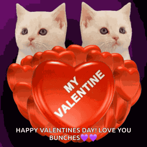 My Valentine Be My Valentine GIF