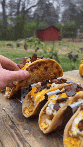 Nacho Tacos Food GIF