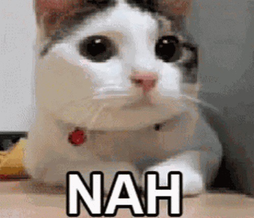 Nah No GIF