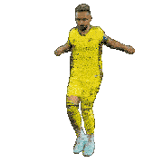 Nashvillesc Nsc Sticker