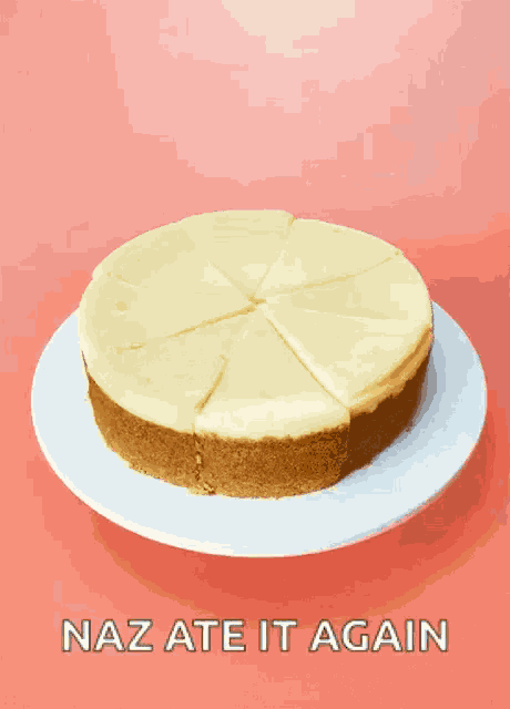 National Cheesecake Day Happy Cheesecake Day GIF