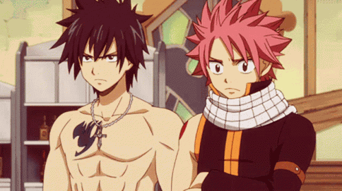 Natsu Bros GIF