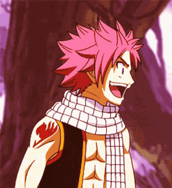 Natsu Dragneel Matching GIF