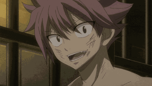 Natsu Natsu Dragneel GIF