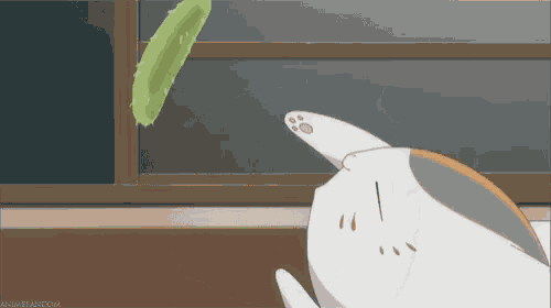 Natsume Playtime GIF