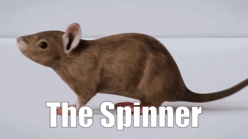 Natural Six Ratural Six GIF