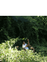 Nature Chill Sticker