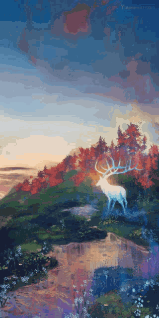 Nature Natureza GIF