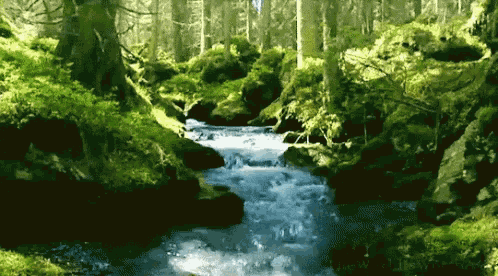 Nature Scenery GIF