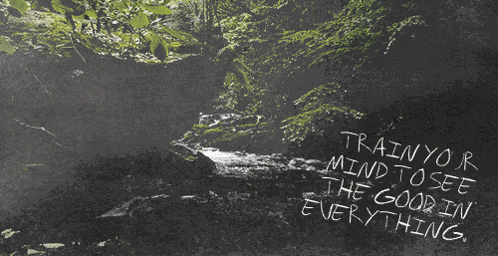 Nature Statement GIF