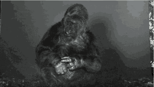 Nature Thank You GIF