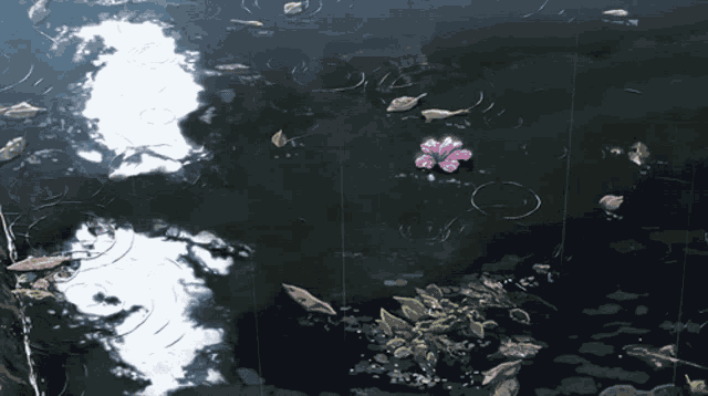 Nature Water GIF