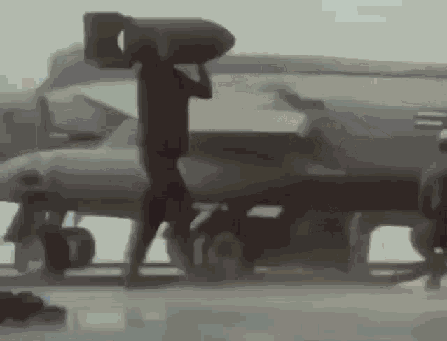 Navy Seal Navy Bonk GIF