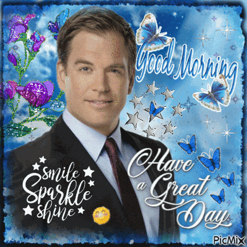 Ncis Tony Dinozzo GIF