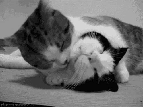 Neck Kisses GIF