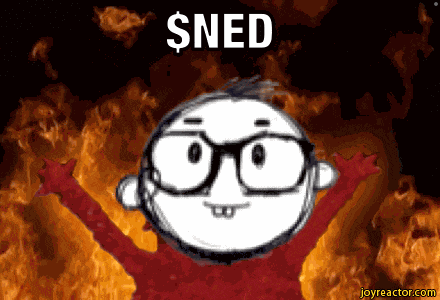 Ned Coin GIF