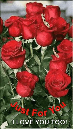 Neked Just For You GIF